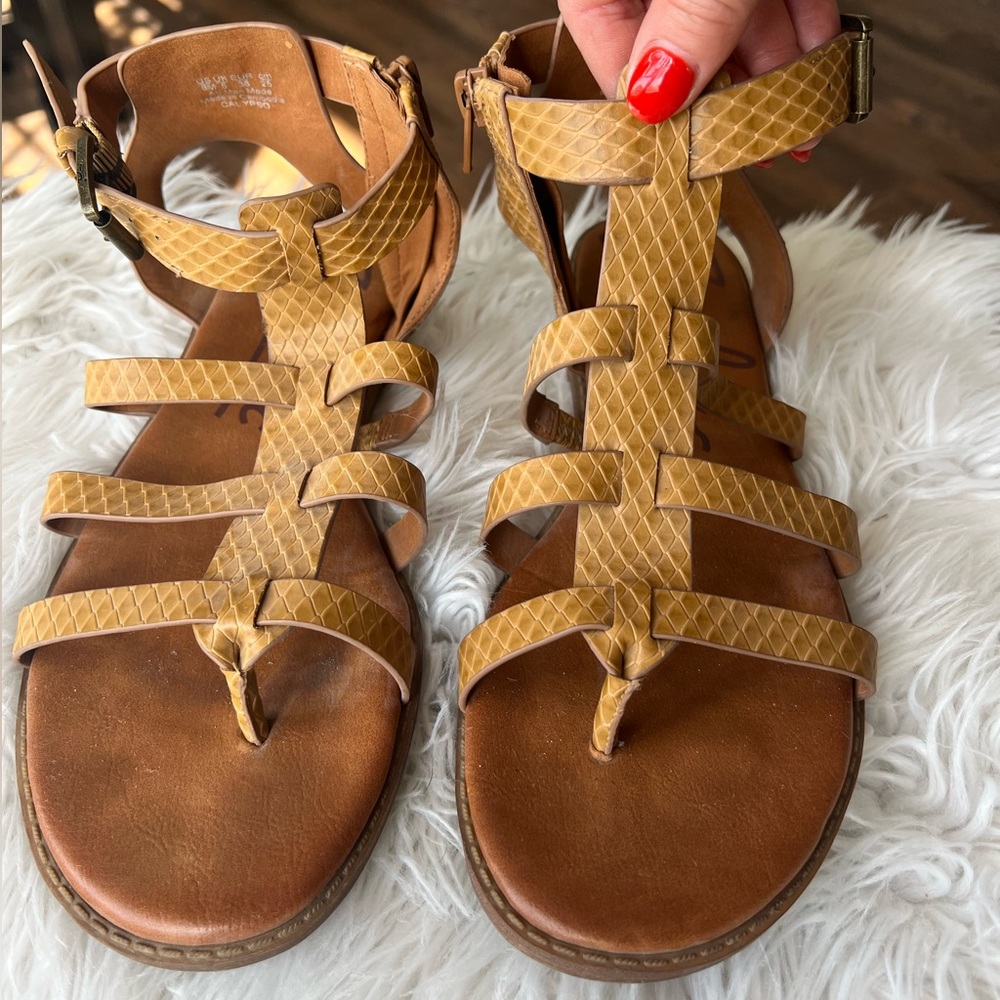 Zodiac Calypso gladiator sandals women’s size 8.